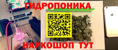 PSILOCYBIN Нальчик