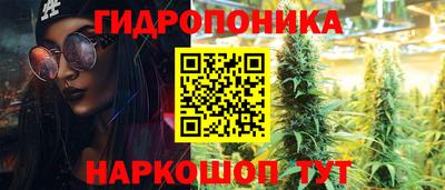 PSILOCYBIN Нальчик